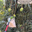Fruit Picker Basket Tool