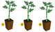 Clonixo™ Grafting Tool Kit